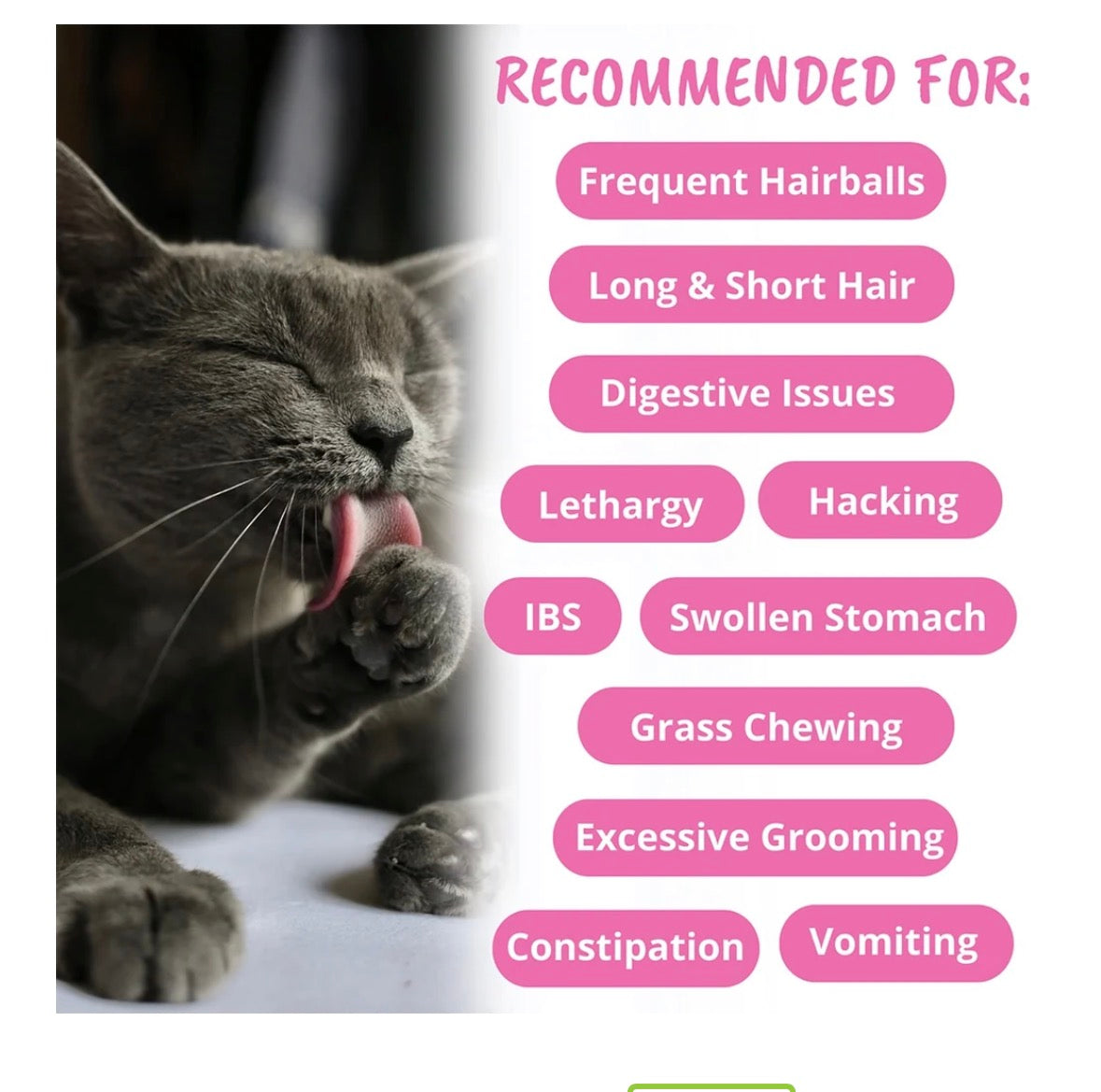 Cat Hairball Support