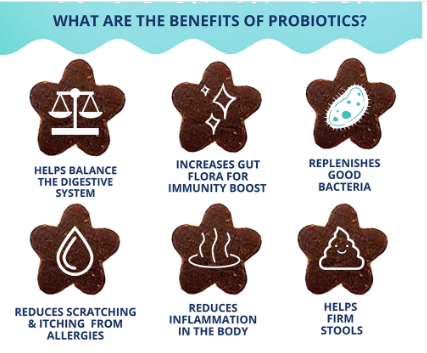 Cat Probiotic