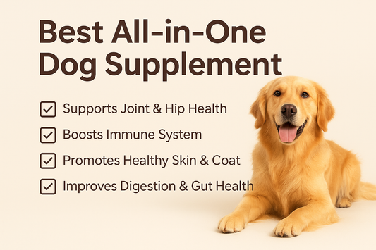 Best All in One Dog Supplement: Complete Guide for Healthy & Happy Dogs