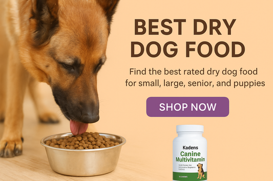 Best Dry Dog Food