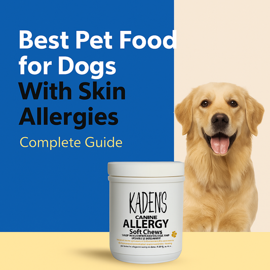 Best Pet Food for Dogs with Skin Allergies: Complete Guide