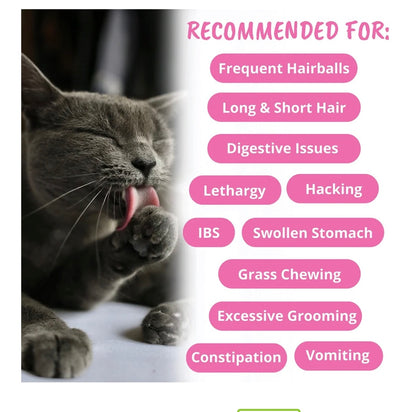 Cat Hairball Support