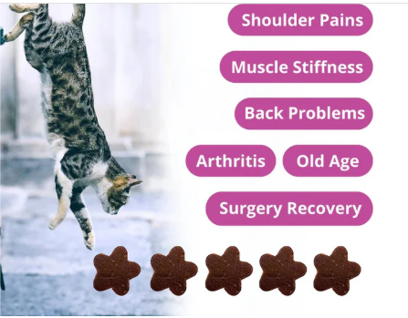 Cat Mobility Chews Joint Health