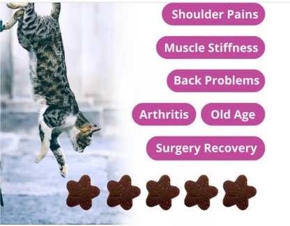 Cat Mobility Chews Joint Health